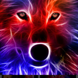 Meet your Posher, Barry